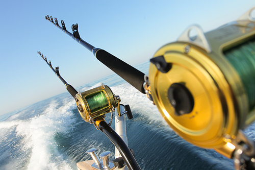 Reel in the Big One