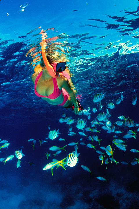 Snorkeling Adventure